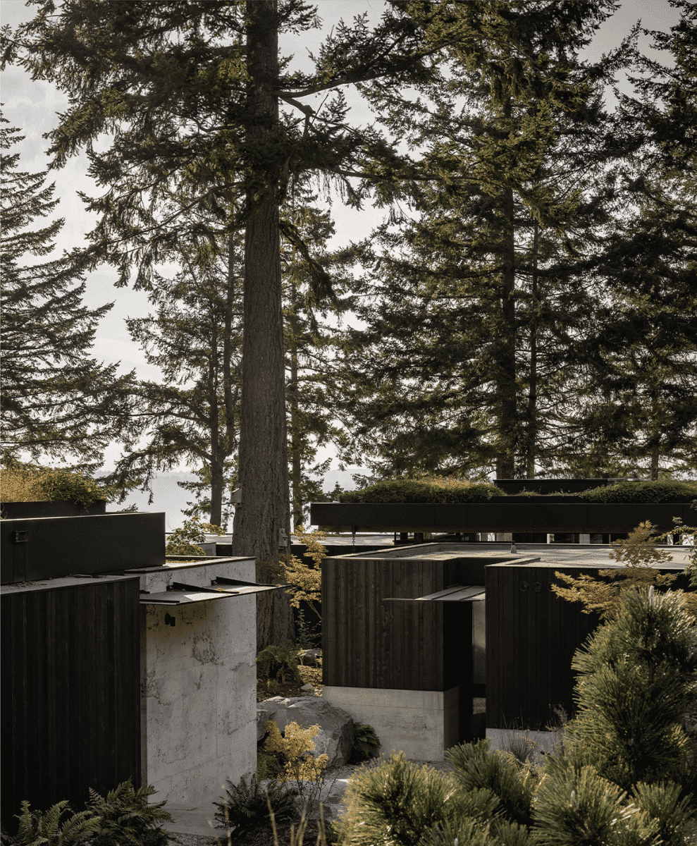 Modern architectural volumes featuring dark wood siding and raw concrete among tall trees.