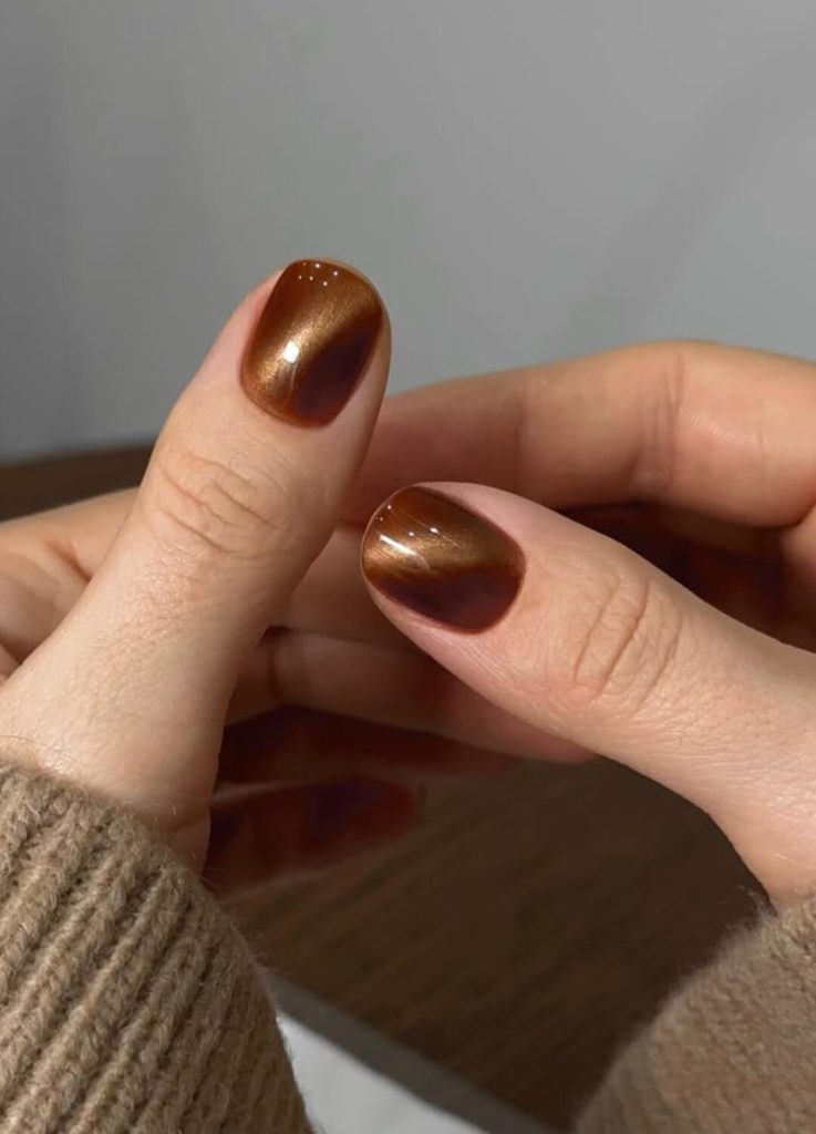 Mocha cat-eye magnetic nail polish with a shimmering velvet effect.