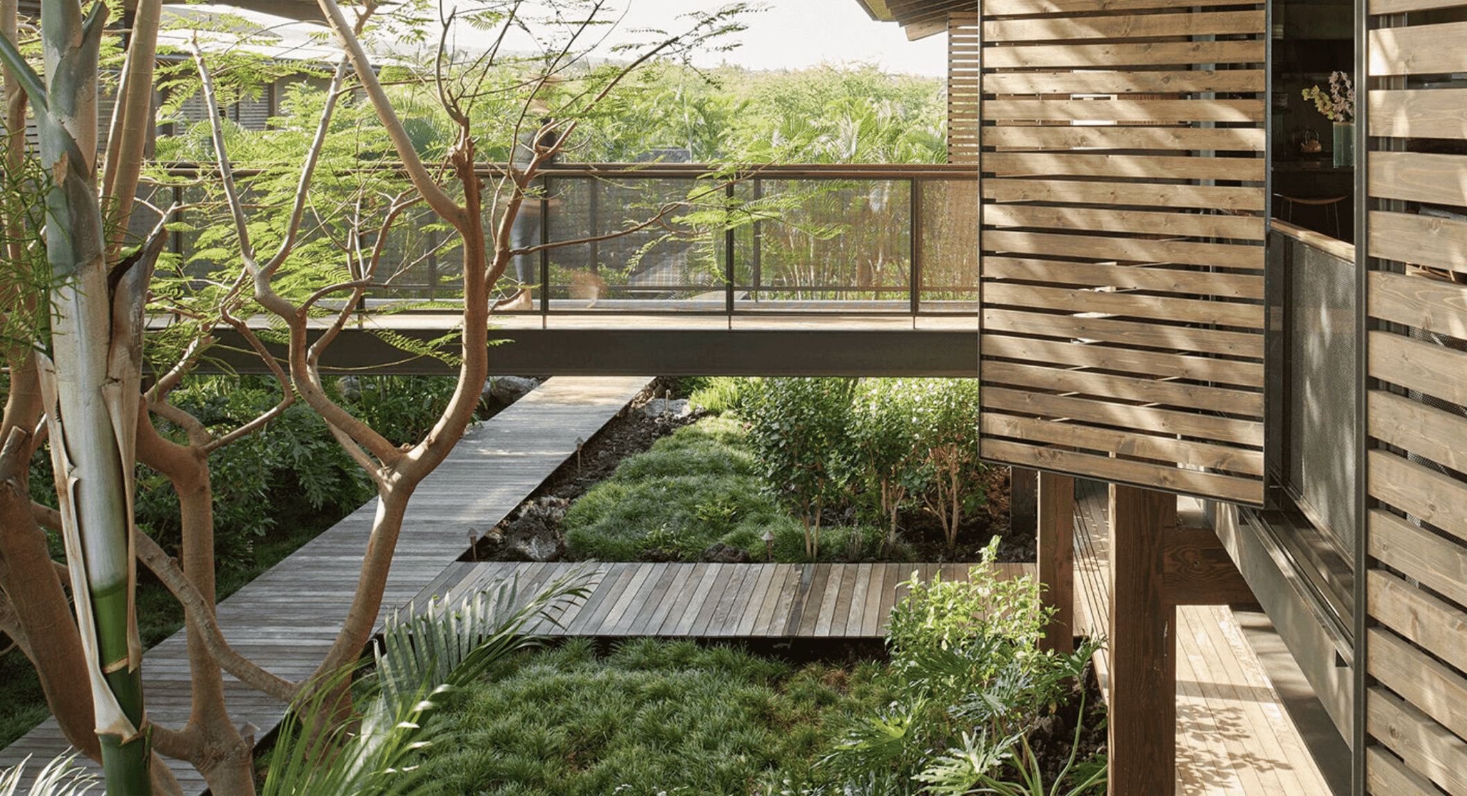 A modern wooden boardwalk winding through a tropical garden with slatted architectural elements.
