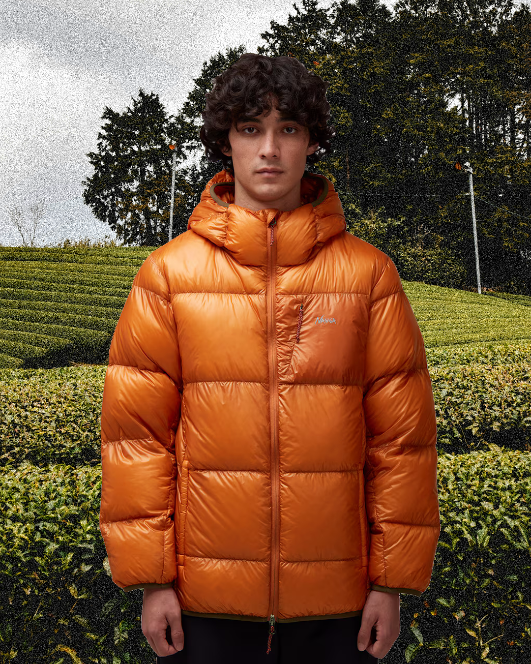 Man in a vibrant orange puffer jacket against terraced green tea fields.