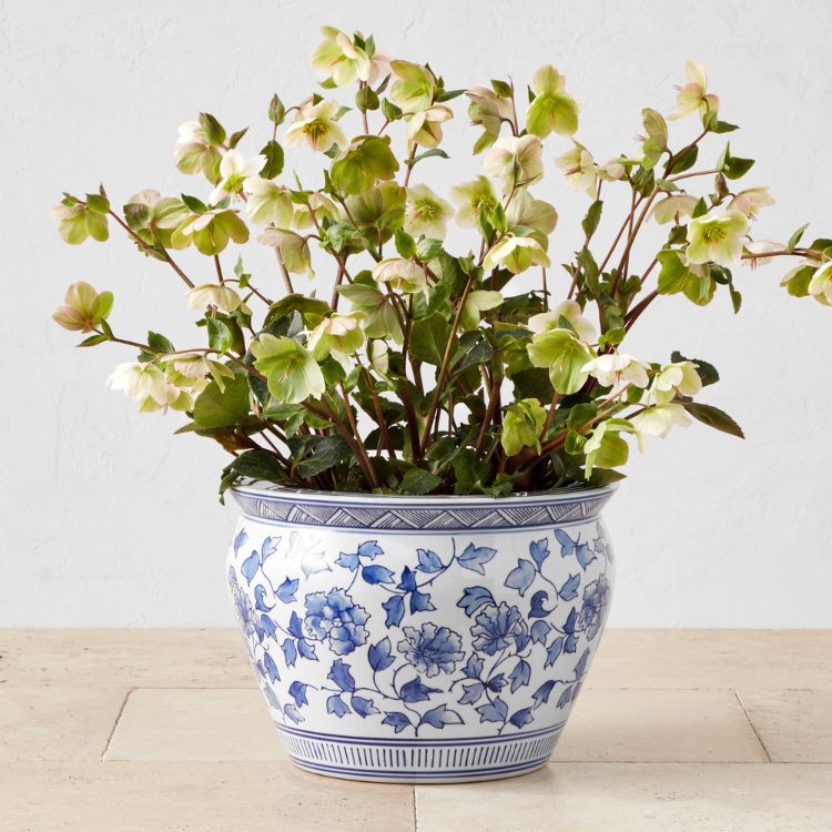A blue and white ceramic planter with traditional patterns.