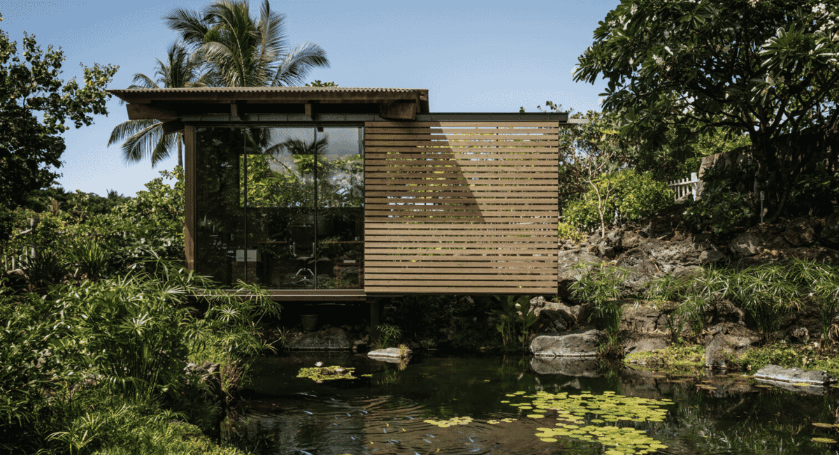 Exterior view of a modern wooden office hut with glass walls in a tropical Hawaiian garden.