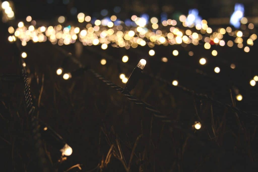 Close-up of twinkling warm-toned LED string lights with blurred bokeh effects in a dark garden.