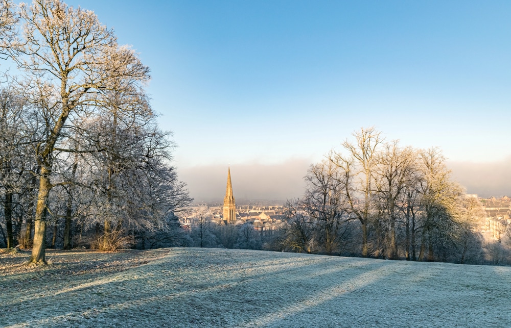 Frost-covered trees framing a distant city skyline under a clear winter sky.