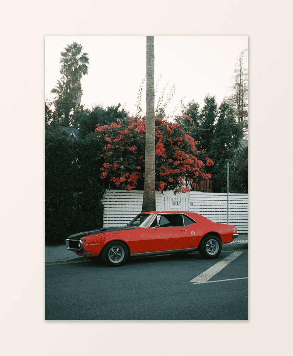 A vintage red muscle car parked on a suburban street lined with palm trees.
