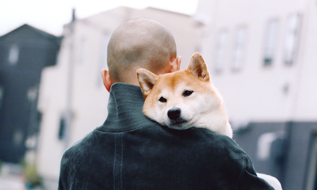 A man wearing a dark green high-neck jacket carries a Shiba Inu, showcasing urban street style.