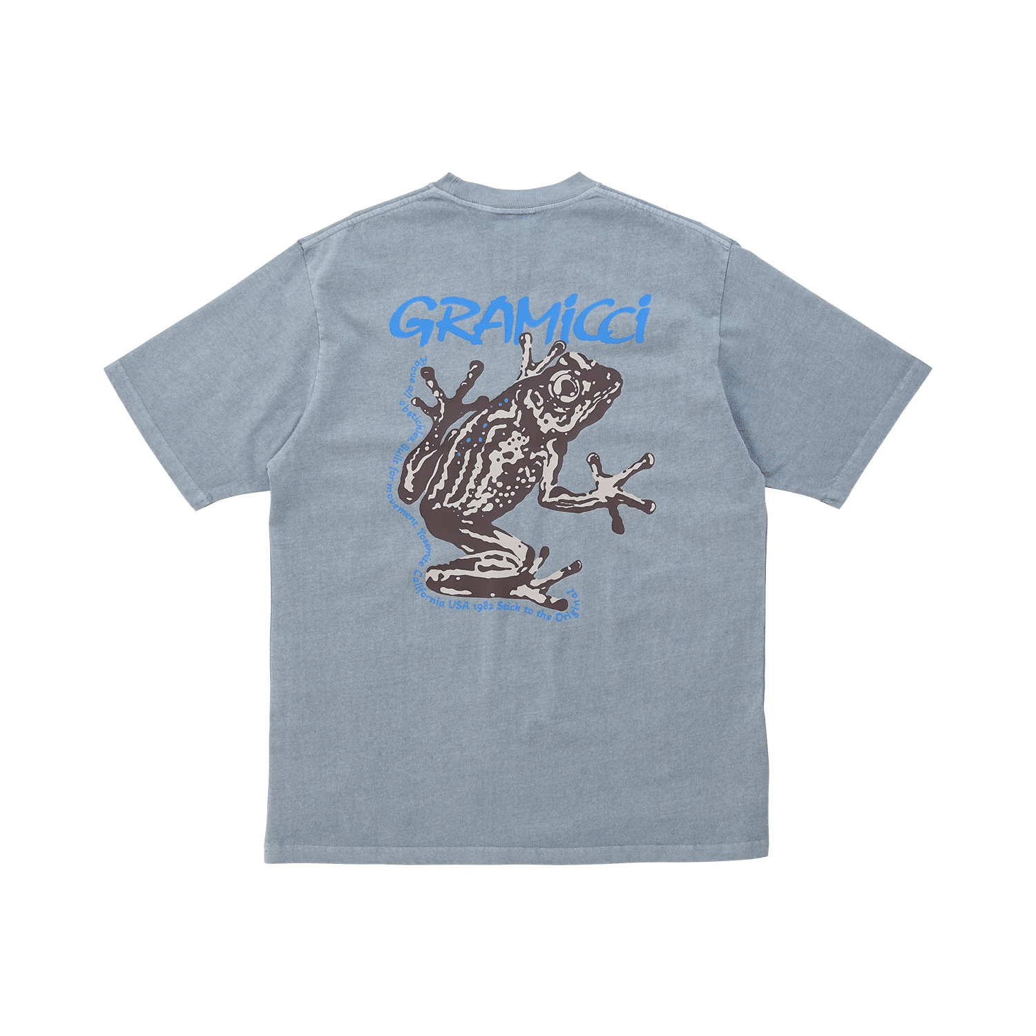 Light blue distressed Gramicci T-shirt featuring a vintage-style graphic frog design.