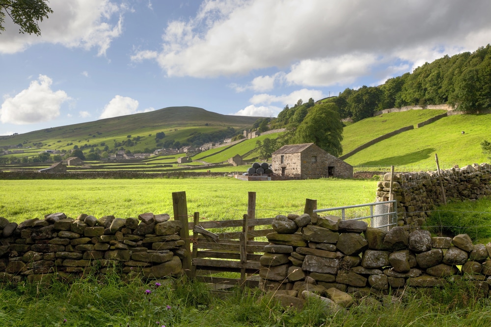 Serene countryside landscape with green rolling hills and traditional dry stone walls.