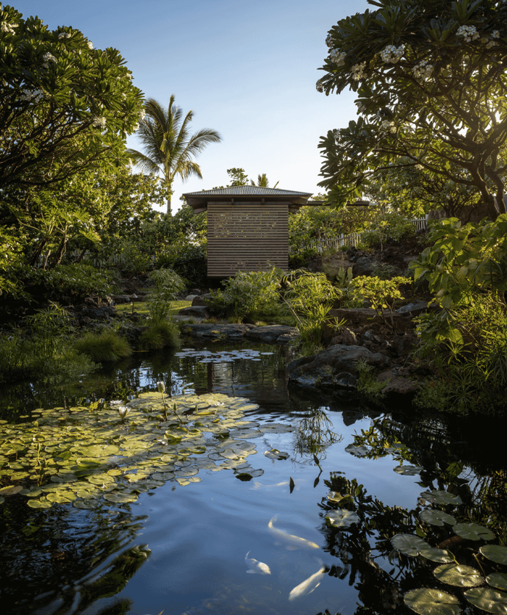 Close-up of a tropical garden pond with lily pads and clear water.