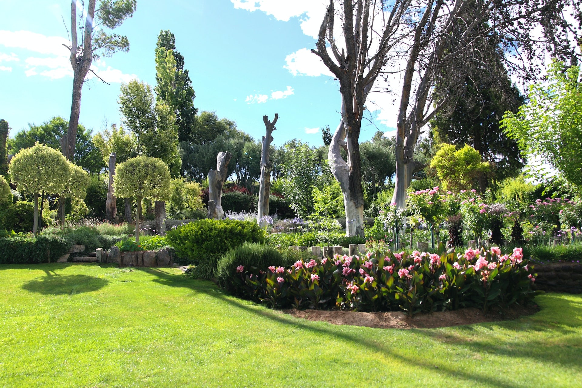 Lush green lawn with blooming pink flowers and sculpted trees in a sunny garden.