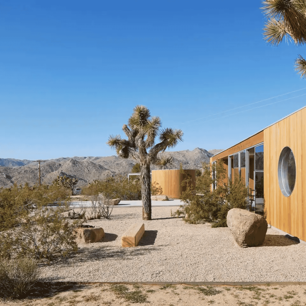 Modern wooden architecture with flat roofs and large windows integrated into a desert landscape with Joshua trees.