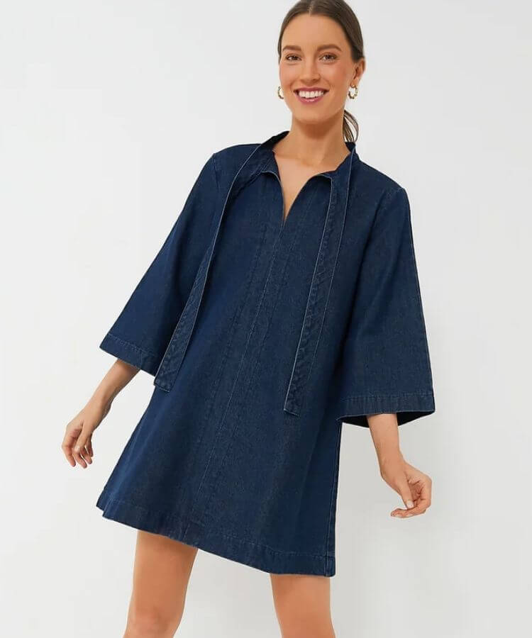Tuckernuck Denim Marsella Dress with a cinched waist.