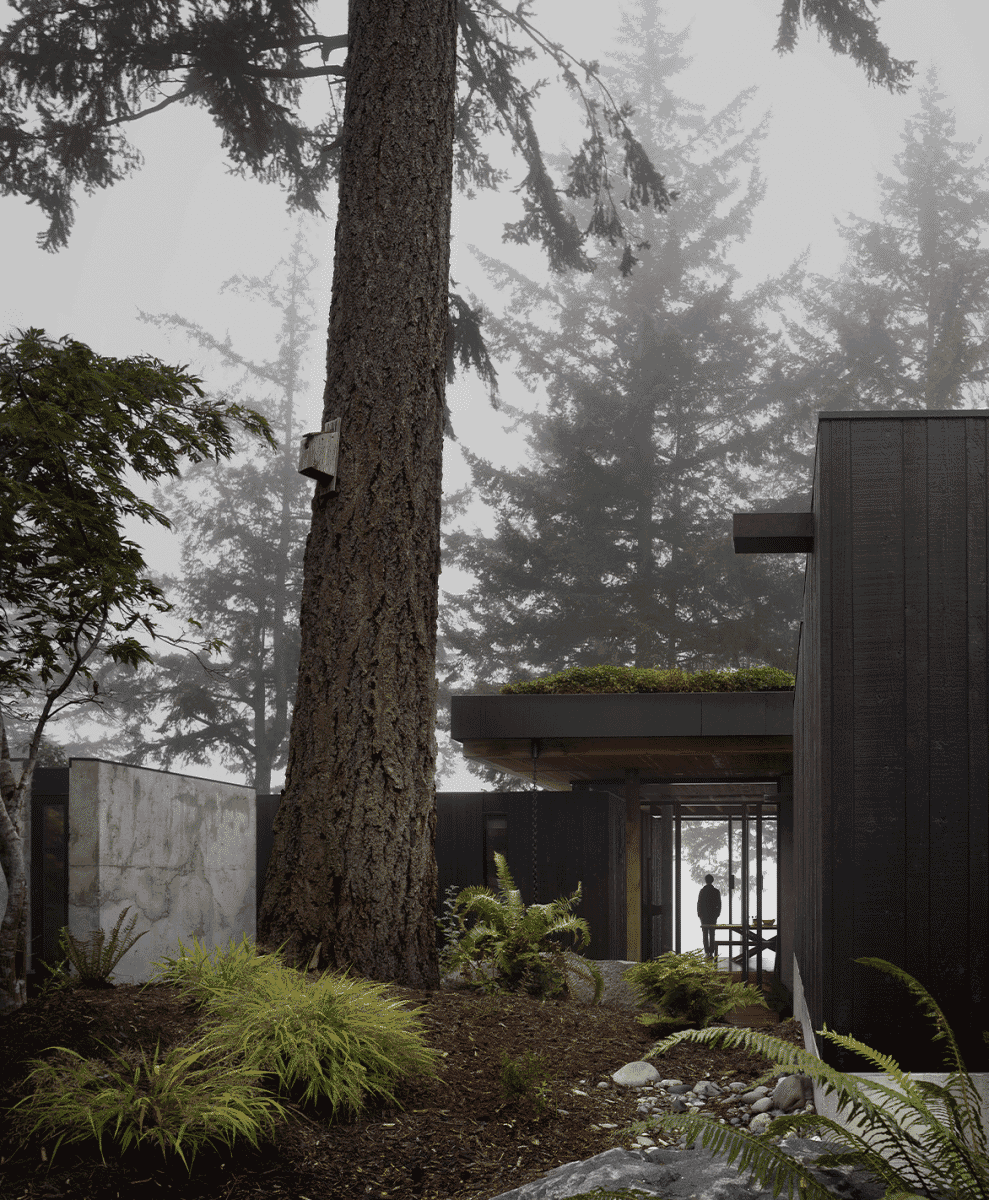 Silhouetted figure standing at the entrance of a modern home during a misty day in the forest.