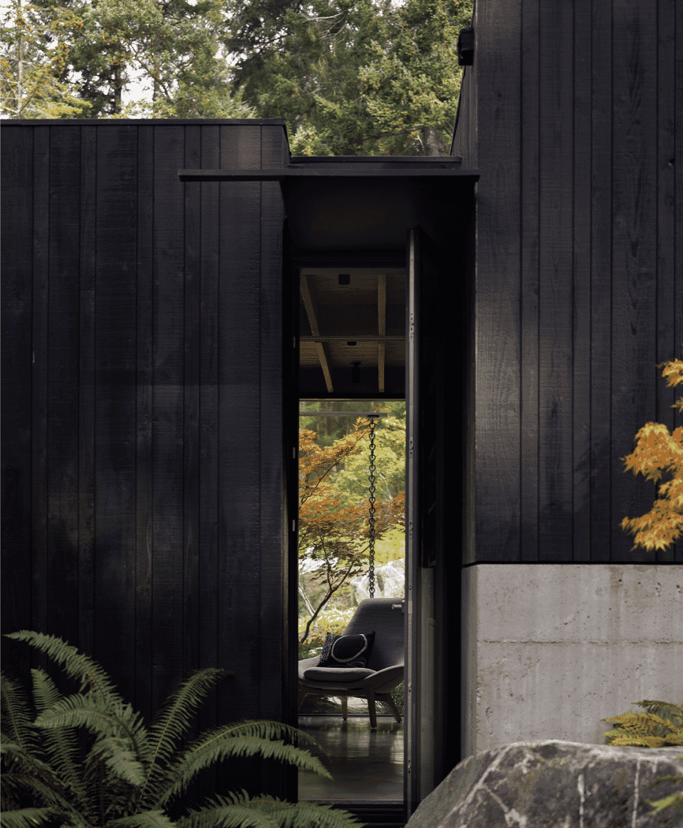 Black wood siding of a modern house framed by orange autumn leaves and green ferns.