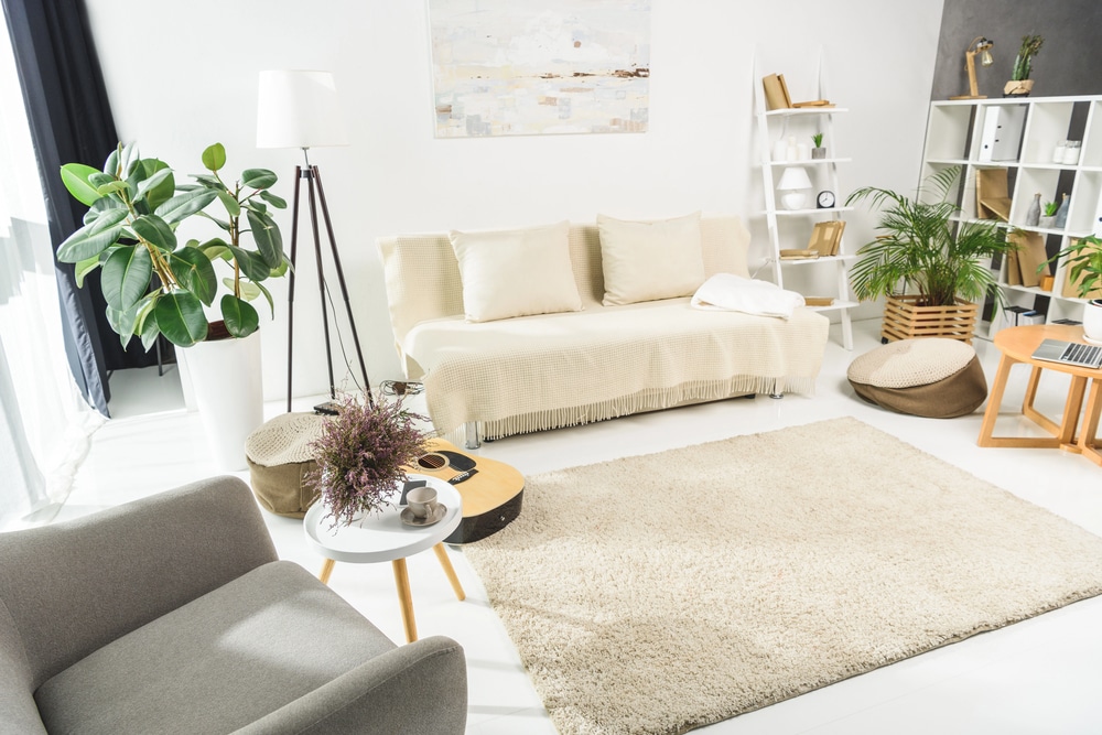 Minimalist living room featuring a beige sofa and large indoor potted plants near a window.