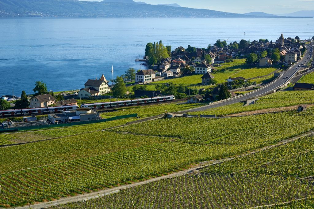 Vineyards on a hillside overlooking a lake with a train traveling through the landscape.