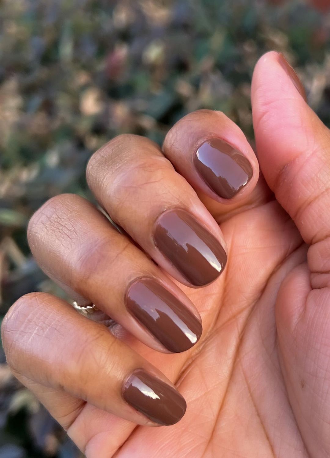 Manicure featuring earthy brown and mocha nail polish tones.
