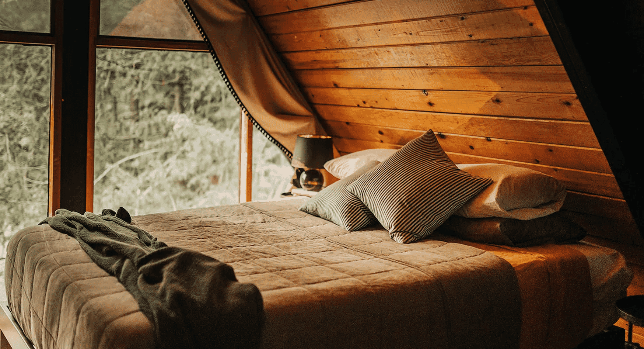 Bedroom with wooden walls and large windows facing a dense forest.