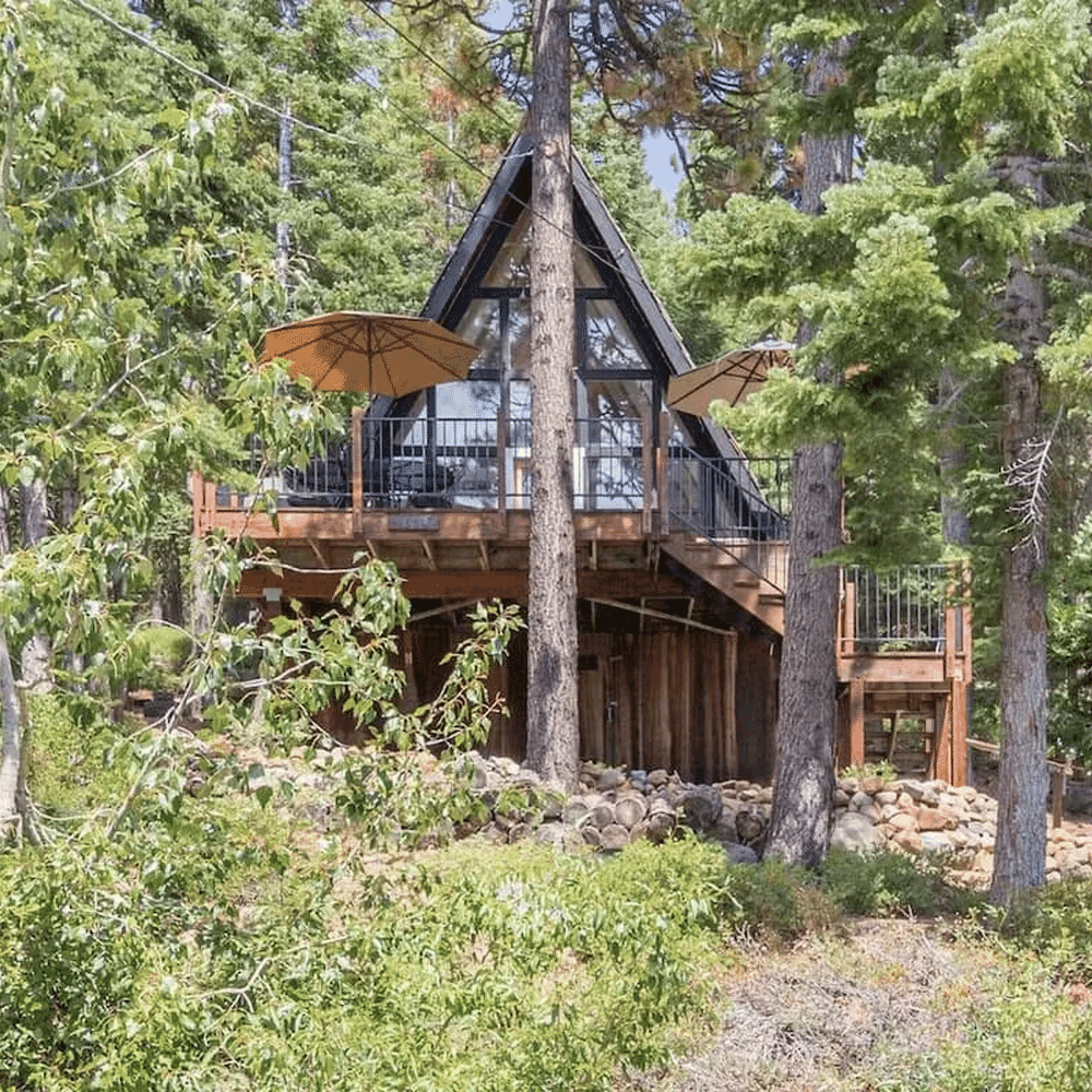 Modern A-frame cabin with large glass windows and wooden deck in a lush pine forest.