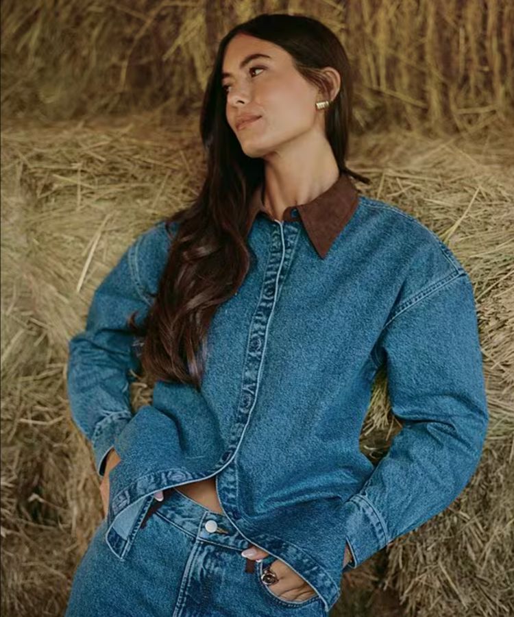 The Anya Denim Faux Suede Collar Top.