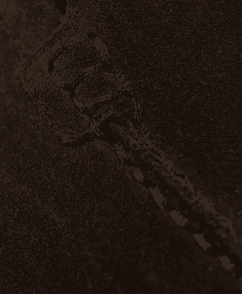 Abstract close-up of textured brown material mirroring the loafer suede