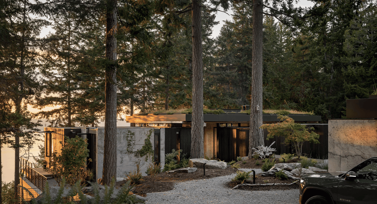 A modern architectural structure with a green roof and concrete walls in a dense forest setting.