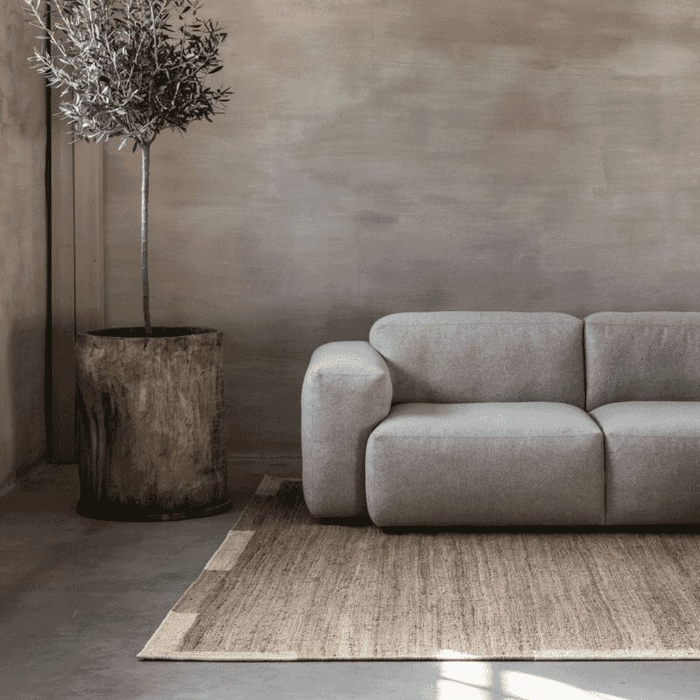 Potted olive tree in a rustic wooden planter in a minimalist room.