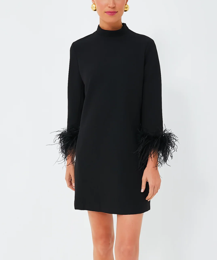 A mod-style black dress from Tuckernuck featuring playful feather trim.
