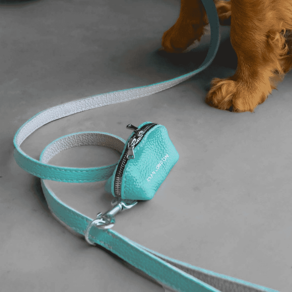 A turquoise leather dog leash and matching poop bag holder with Ryan London branding.