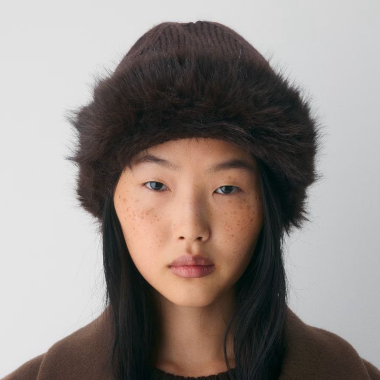 Aritzia merino wool beanie