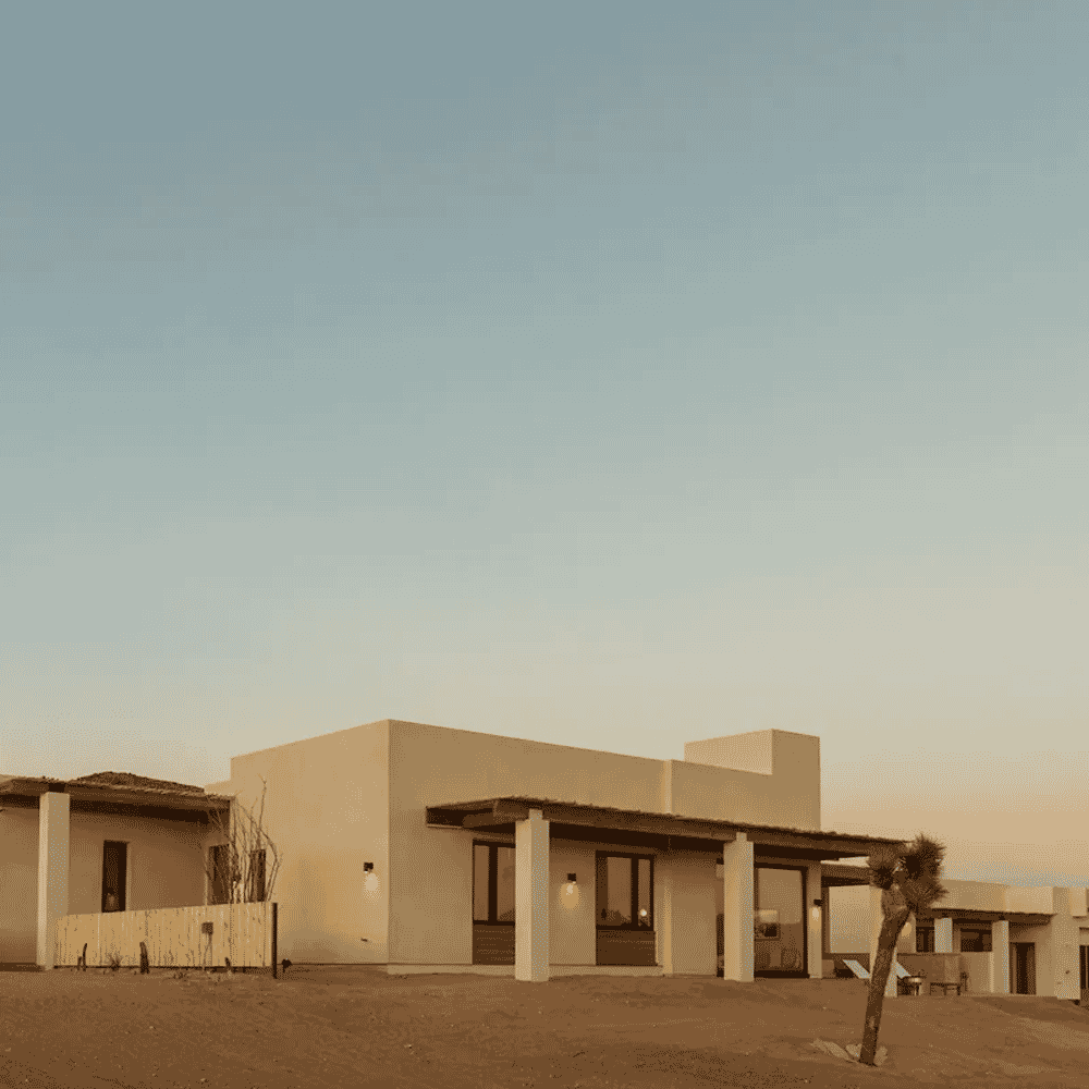 Modern minimalist wooden architecture set against a sandy desert landscape with a lone palm tree.
